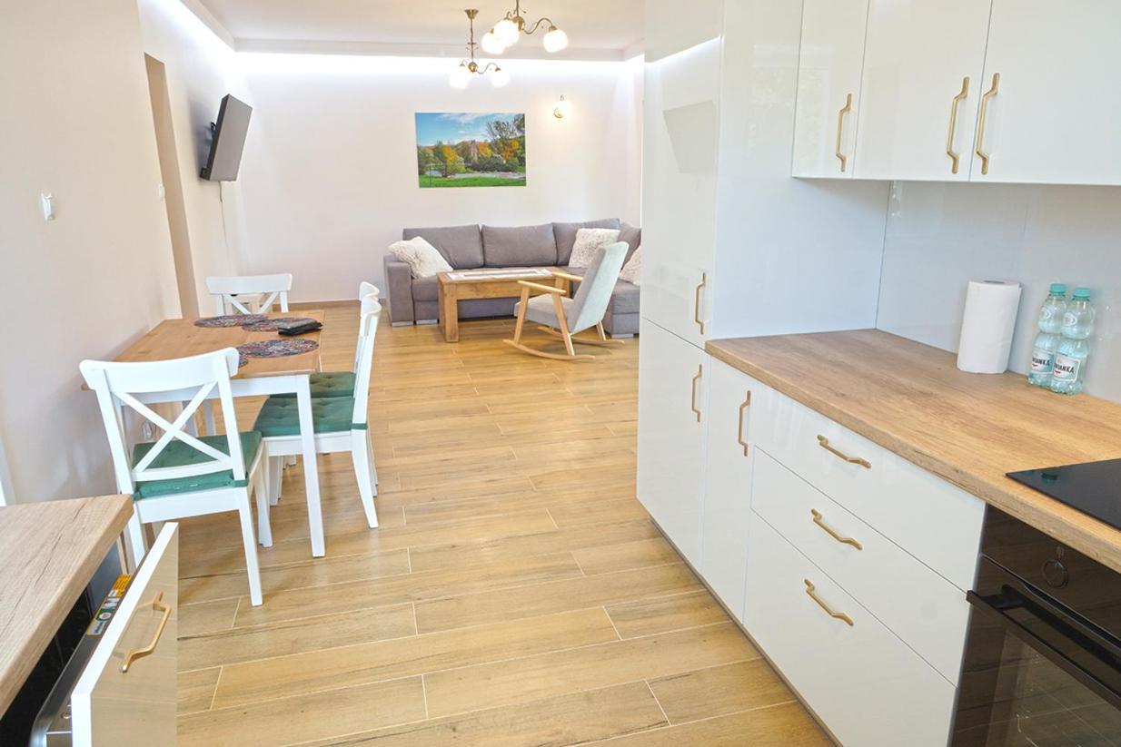 Nad Stawem Apartment Ustroń Exterior foto